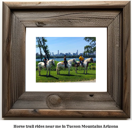 horse trail rides near me in Tucson Mountains, Arizona